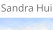 Sandra Hui