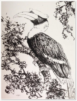 Jen Wong. Hornbill. Ink on paper.
