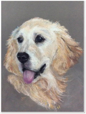 Jen Wong. Andrey's Dog. Pastel on paper.