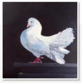 Jen Wong. Dove. Acrylic on canvas.