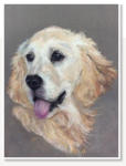 Jen Wong. Andrey's Dog. Pastel on paper.