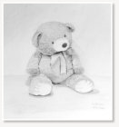 Tan Eng Chew. Teddy Bear. Pencil on paper.
