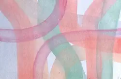 2025   6 x 4 inches   Watercolour on paper