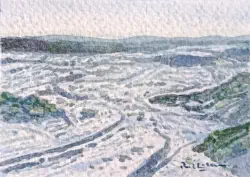 2026   8.8 x 6.4 cm   Watercolour on paper