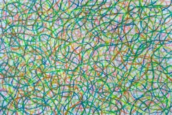 2026   46.5 x 21.5 cm