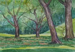 2025   16 x 11 cm   Watercolour on paper