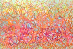 2025   6 x 4 inches