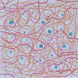 2026   3.5 x 3.5 inches