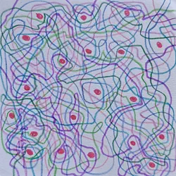 2026   3.5 x 3.5 inches
