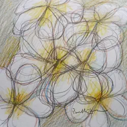 2025   10.5 x 10.5 cm