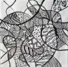 2026   7 x 6.75 inches