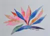Size: 7.25 x 5.25 inches