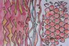 2025   6 x 4 inches   Mixed media on paper