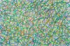 2026   46.5 x 21.5 cm
