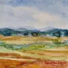 2026   4.6  x 4.6 cm   Watercolour on paper