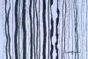 2025   6 x 4 inches