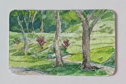 2025   6 x 3.8 cm