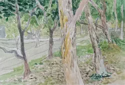 2025   6.7 x 4.7 cm   Watercolour on paper