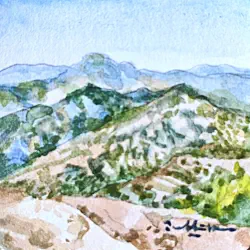 2026   4.5 x 4.6 cm   Watercolour on paper