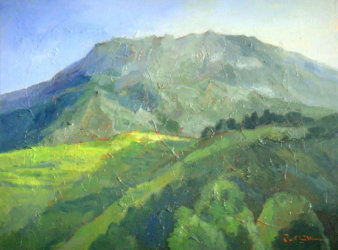 Mountain   2014   Acrylic on canvas   61 x 46 cm   POR