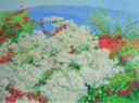 Flowers Bloom at Sg Siput 2007 102 x 76   POR