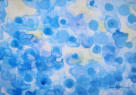 Blue Dots   2015   Acrylic on paper   29.5 x 20.5 cm   POR