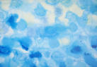 Composition in Blue   2015   Acrylic on canvas   29 x 21 cm   POR