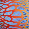 Free from the Red Net   2012   Acrylic on canvas panel   30 x 30 cm   POR